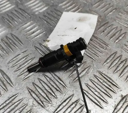 Citroen C3 Fuel injector 7528176 V752817680