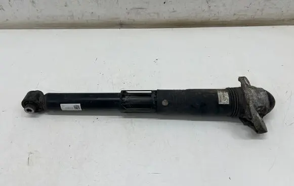 Volkswagen ID.3 Rear shock absorber/damper 1EA512011AD