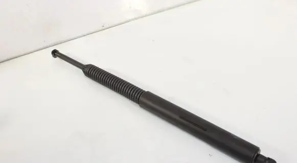 Tailgate strut