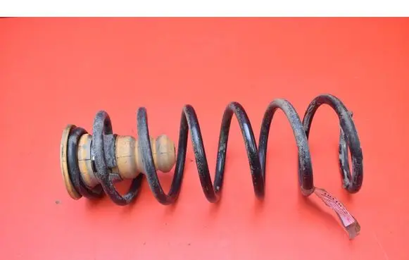 Rear coil spring