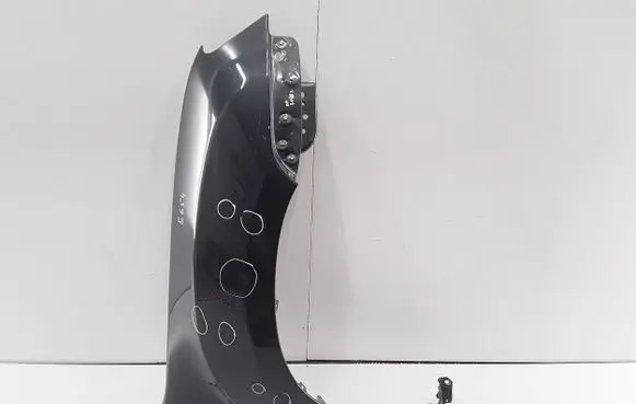 Dacia Duster Fender