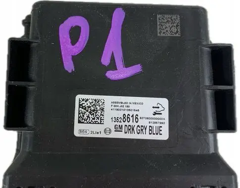 Chevrolet Traverse II Other control units/modules 13528616