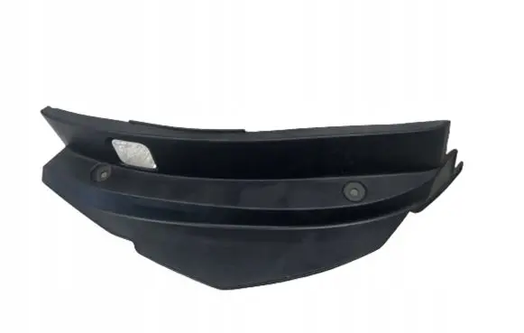 Rear/tail light trim molding