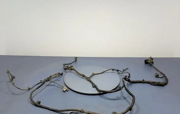 BMW X5 E53 Other wiring loom 8490230