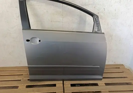 Volkswagen Golf Plus Front door