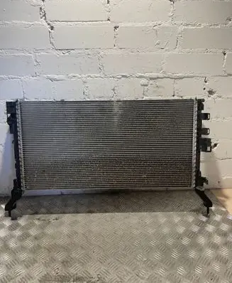 Renault Laguna III Coolant radiator 214100005R