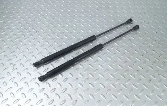 Tailgate/trunk strut/damper