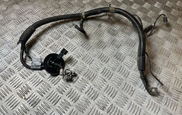 Mercedes-Benz B W245 Positive cable (battery) A1695400209