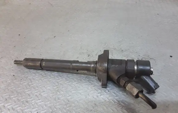 Citroen C5 Fuel injector 0445110259