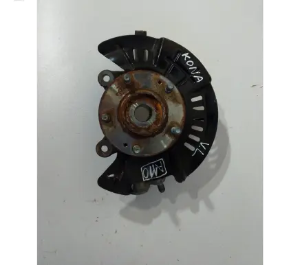 Hyundai Kona I Front wheel hub spindle knuckle 51700J9200