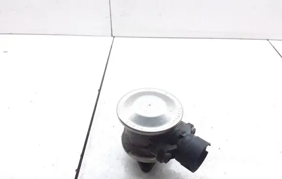 EGR valve