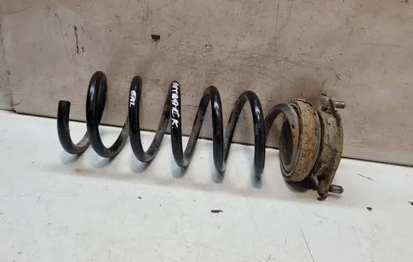 Subaru Outback Rear coil spring 