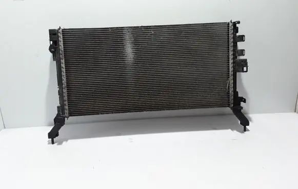 Renault Laguna III Coolant radiator 214100005R