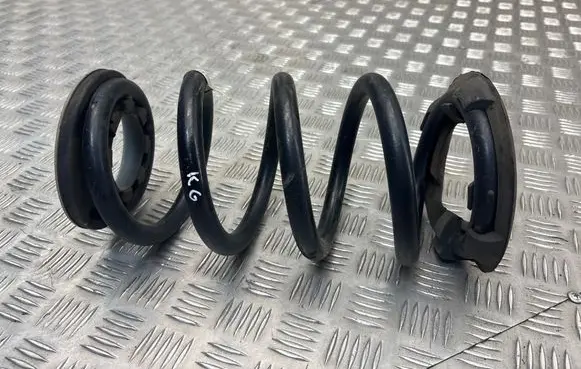 Tesla Model Y Rear coil spring 118847900A