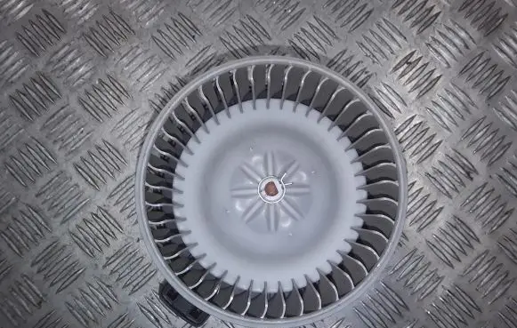 KIA Rio Heater fan/blower f00s33f005