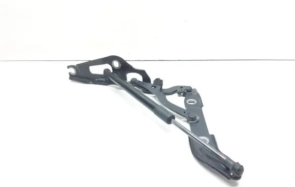 BMW 1 E82 E88 Tailgate/trunk/boot hinge 7166751