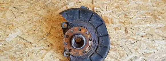 Volkswagen PASSAT B6 Front wheel hub spindle knuckle