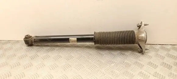 Tesla Model Y Rear shock absorber/damper 118846300E