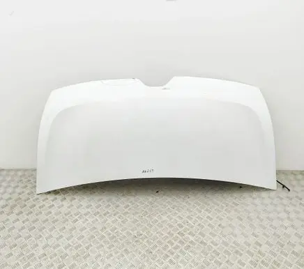 Renault Master III Engine bonnet/hood 651009963R