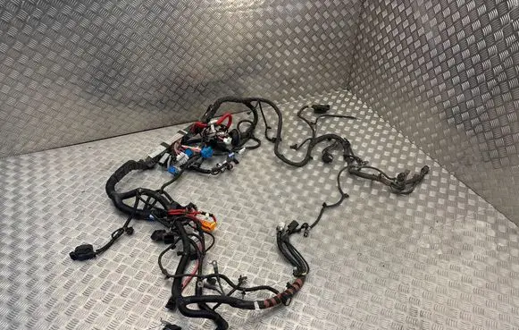 Tesla Model Y Other wiring loom 101558500A