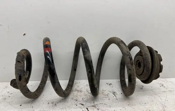 Rear coil spring