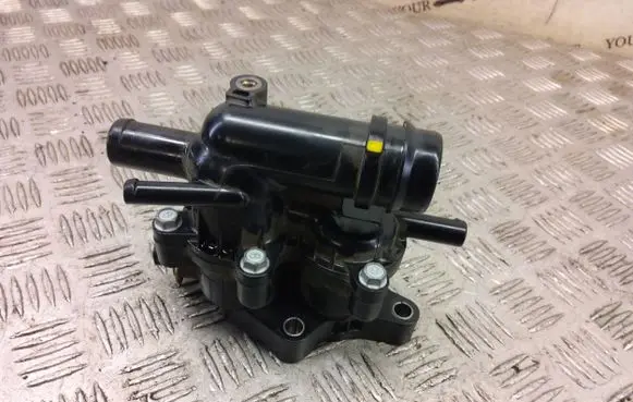 Thermostat/thermostat housing