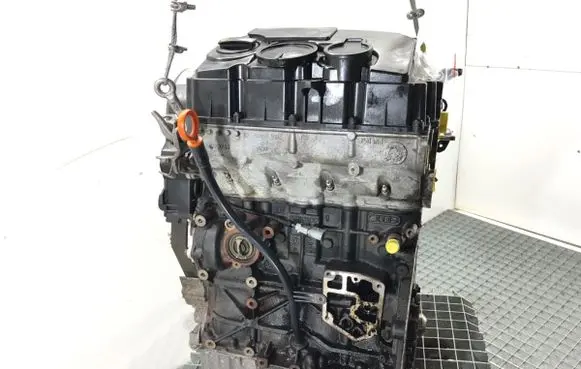 Volkswagen Golf V Engine