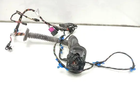 Front door wiring loom