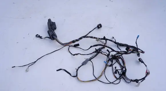 BMW X3 F25 Front door wiring loom/harness boot 9315113