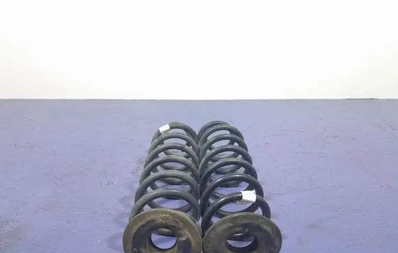 Skoda Superb B5 (3U) Rear coil spring 3Q0511115AL