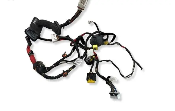 Hyundai ix 55 Front door wiring loom 916003J131