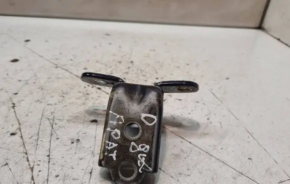 KIA Carens II Rear door lower hinge