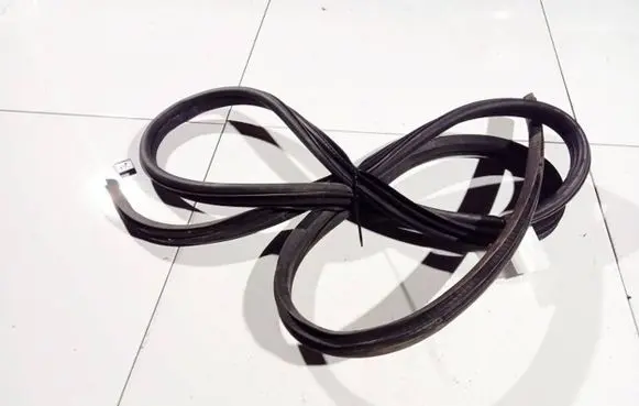 Renault Scenic I Rubber seal front coupe door 
