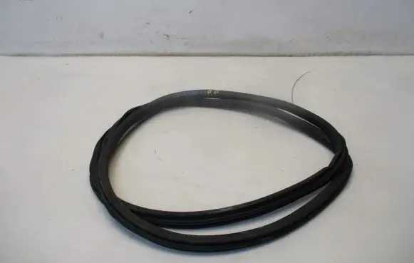 Peugeot 308 Front door rubber seal