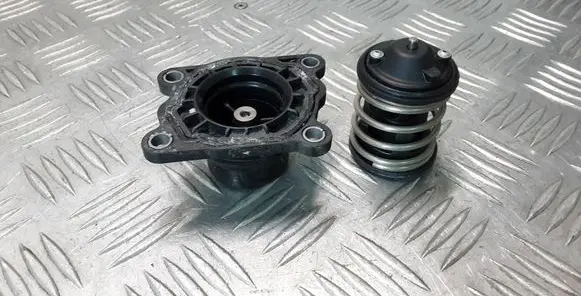 Thermostat/thermostat housing