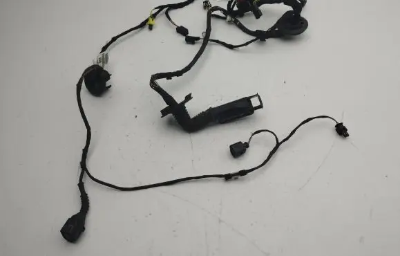 Audi A7 S7 4G Front door wiring loom 4G8971029EK
