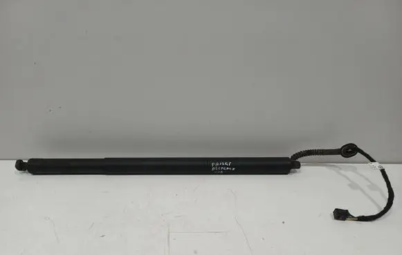 Volkswagen Passat Alltrack Tailgate/trunk strut/damper 3G9827851B 21070094900180