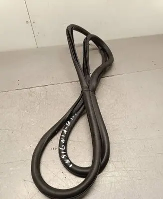 Opel Insignia B Front door rubber seal 