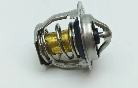 Chatenet Barooder Thermostat 1005058 11962149801