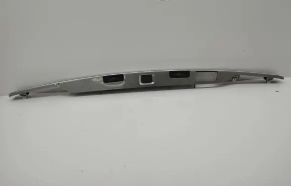 Trunk door license plate light bar