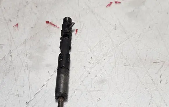 Renault Kangoo I Fuel injector 8200240244 8200049876