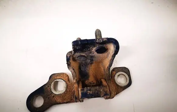 Renault Modus Rear door lower hinge 
