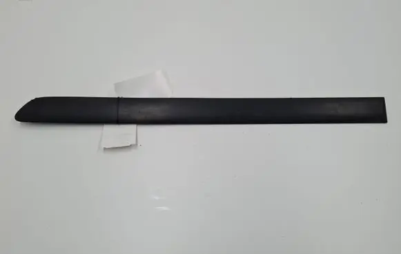 Rear door trim (molding)