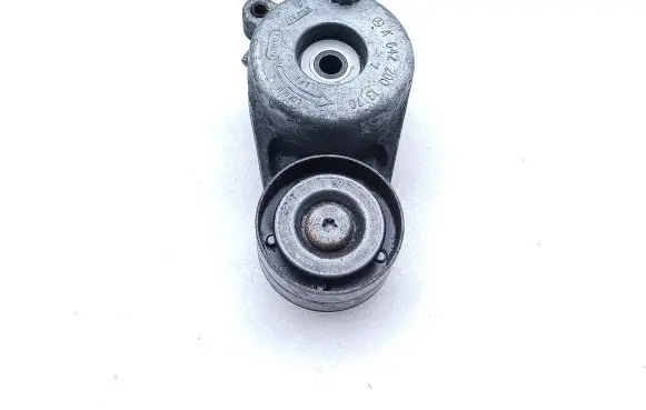 Mercedes-Benz ML W164 Alternator belt tensioner A6422001370