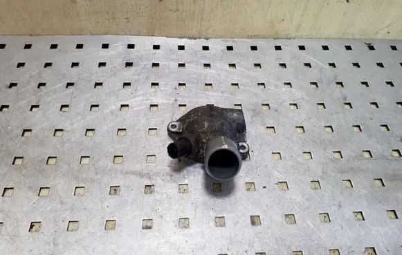 Thermostat/thermostat housing