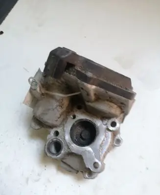 Mercedes-Benz Sprinter W906 EGR valve