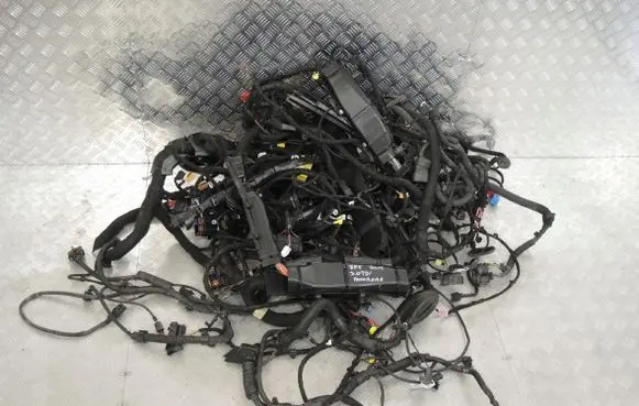 Porsche Cayenne (92A) Other wiring loom PANORAMA7P5000