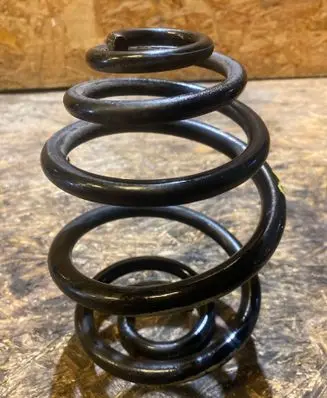 Rear coil spring