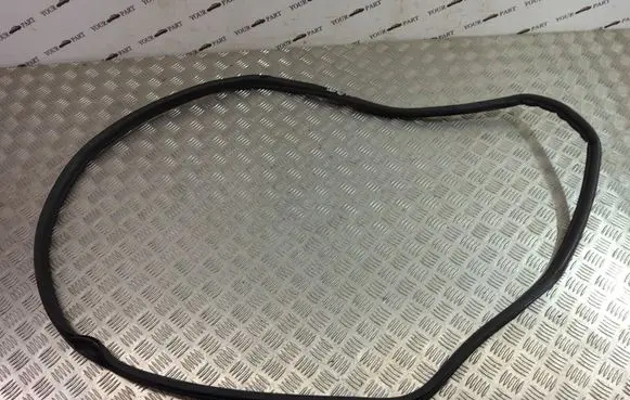 BMW X3 F25 Rear door rubber seal (on body) 1305715