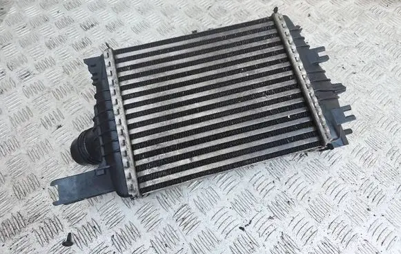Dacia Duster Intercooler radiator 144961381R